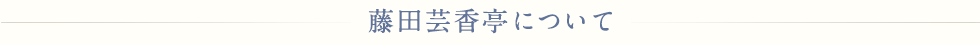 藤田芸香亭について